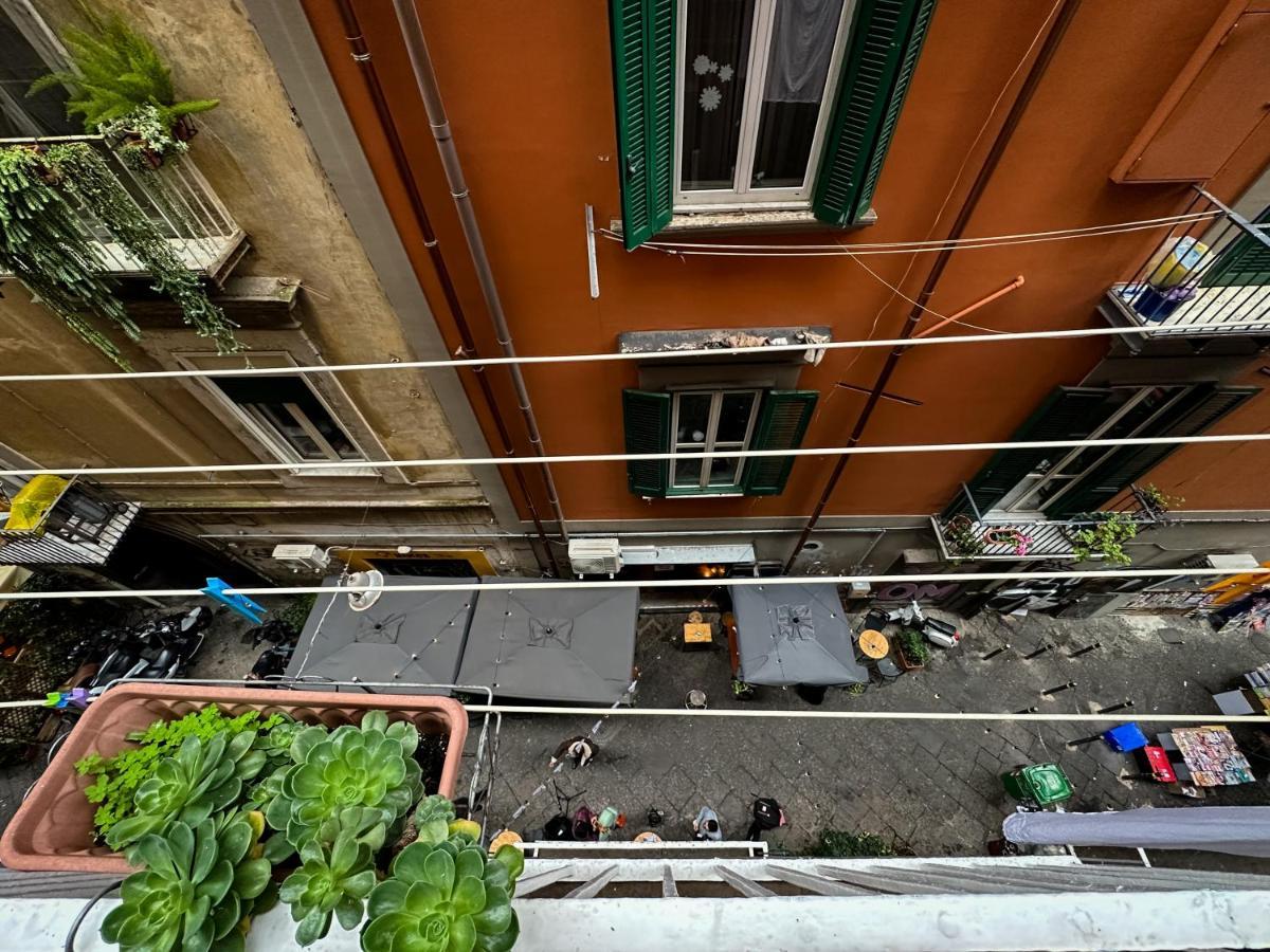La Rotonda A Toledo Villa Napoli Eksteriør billede